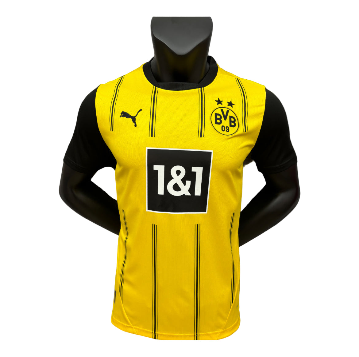 Maillot Dortmund 24/25